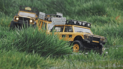 FMS FCX24M 1:24 Land Rover Range Rover 1st Gen RTR RC Crawler 2 speed - UK Stock